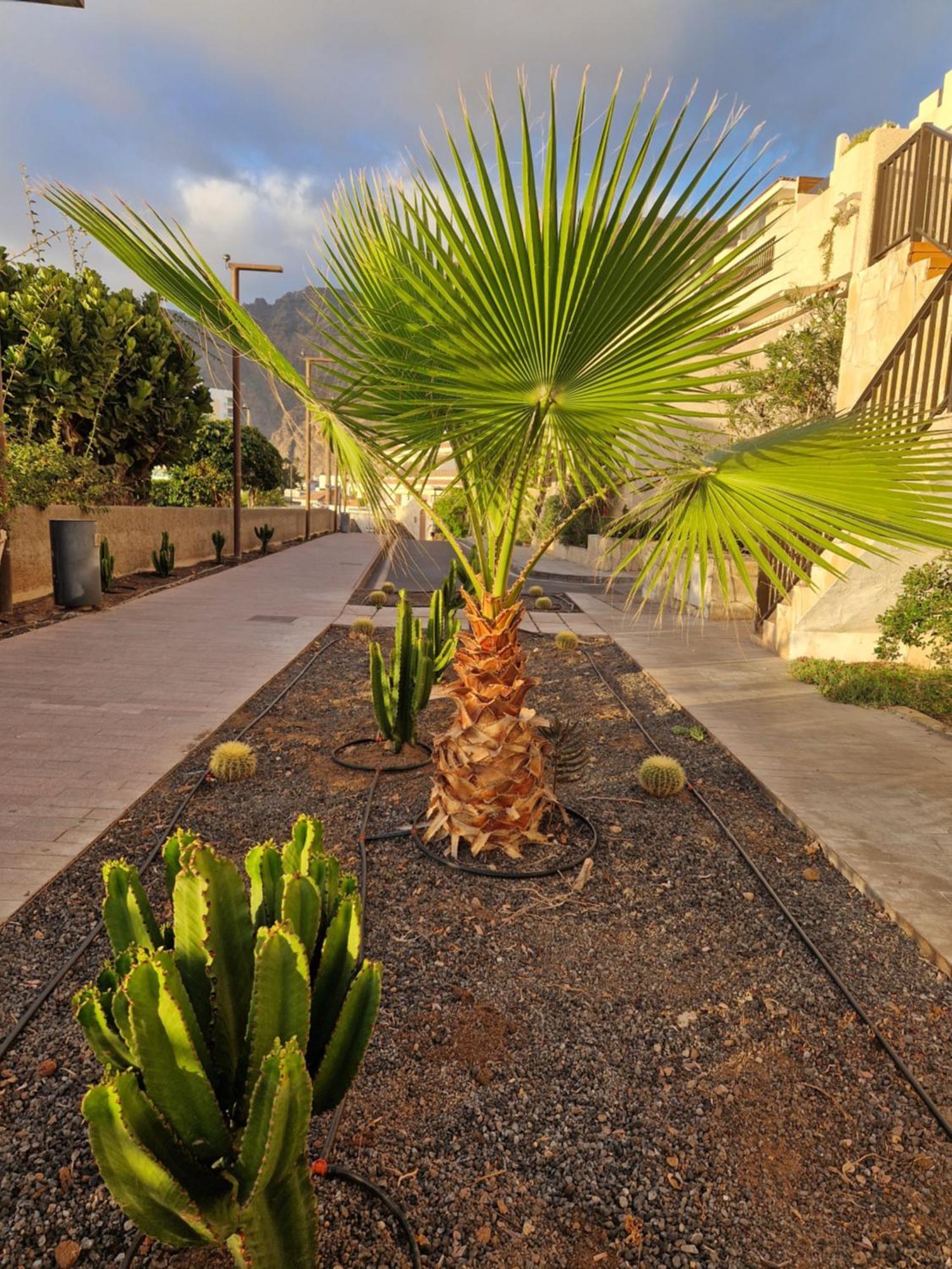 Studia Puerto De Santiago Apartment Puerto de Santiago  Exterior foto